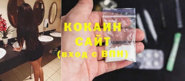 эйфоретик Гусь-Хрустальный