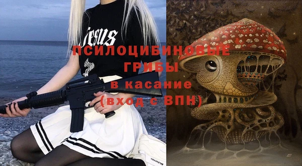 кокс Гусев