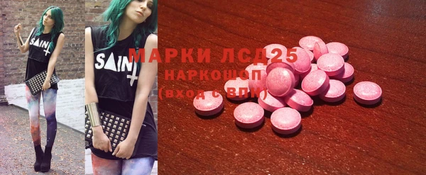 эйфоретик Гусь-Хрустальный