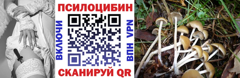Купить Ермолино Галлюциногенные грибы мицелий